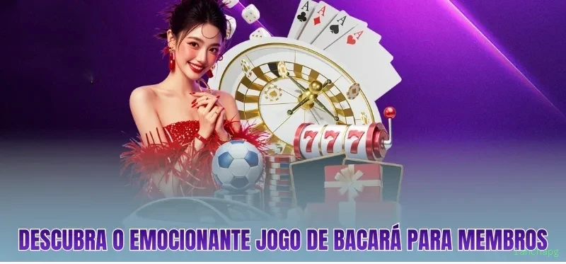 Dealers profissionais da lanchapg